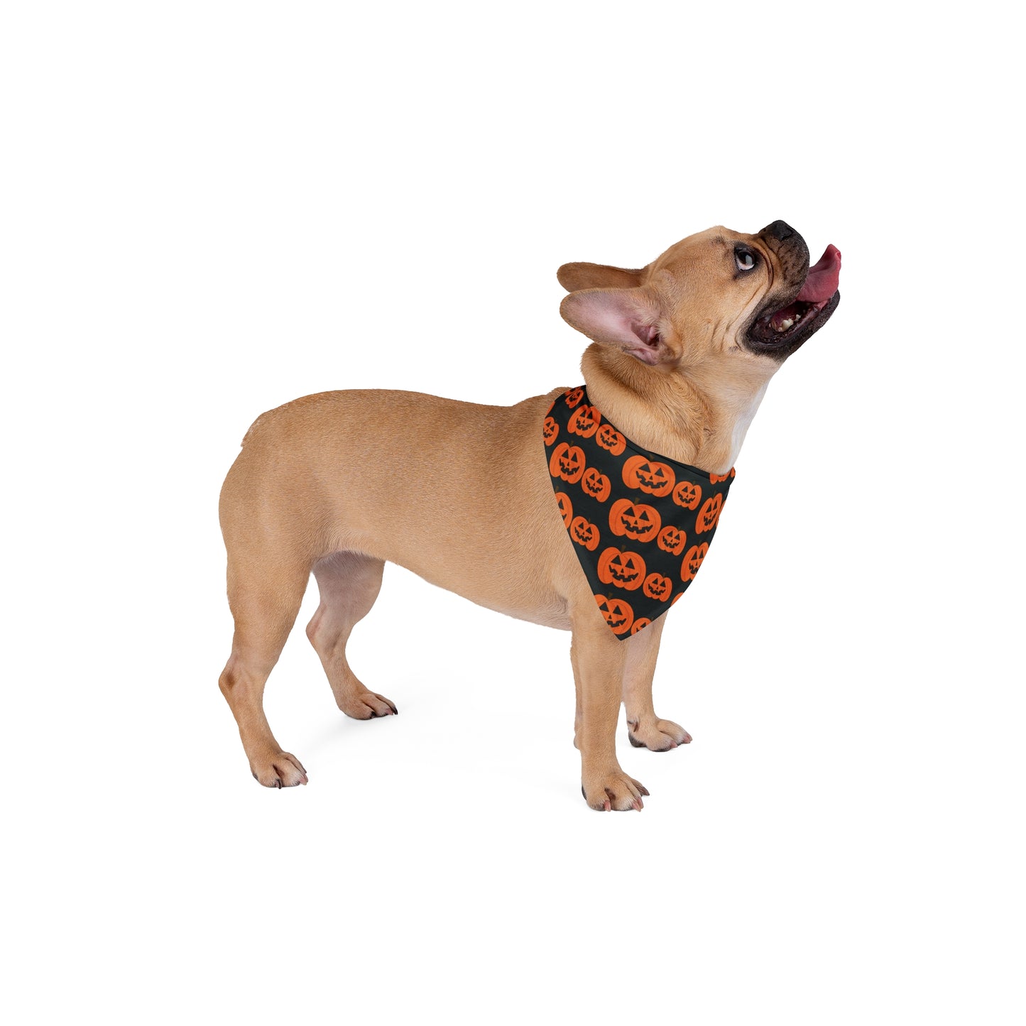 Halloween Pumpkin Pet Bandana — Orange Jack-O'-Lantern Dog & Cat Scarf