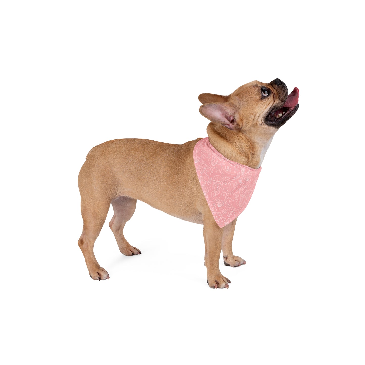 Underwater — Shells and Sea Creatures Dog & Cat Bandana