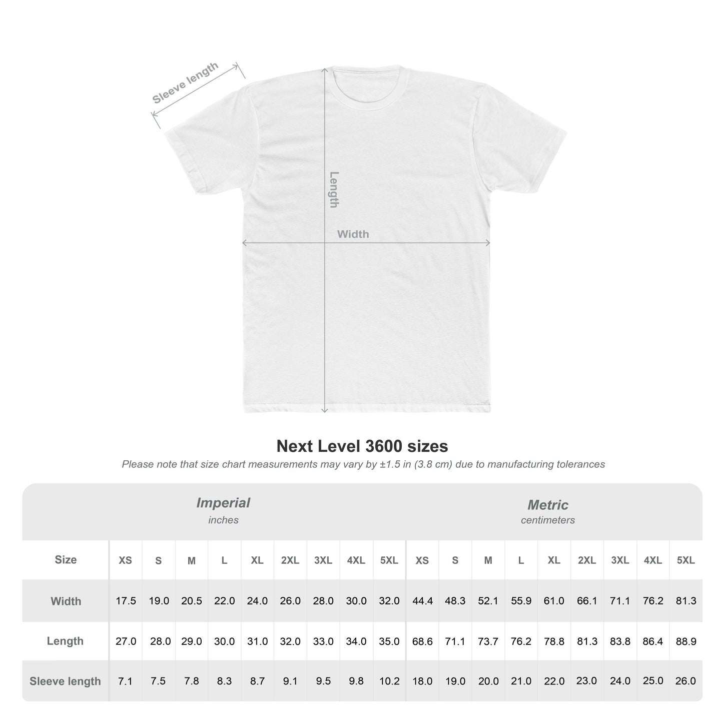 Cape Cod — Coastal Shells & Sea Life Graphic T-Shirt