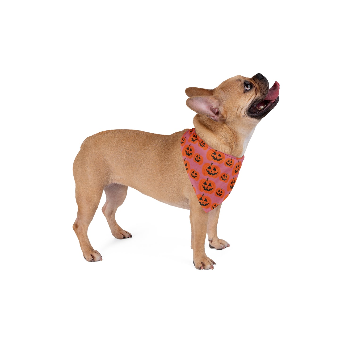 Pink Halloween Jack-O'-Lantern Pet Bandana